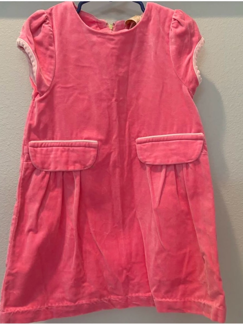 The Beaufort Bonnet Company Pink Velvet Pocket Dress